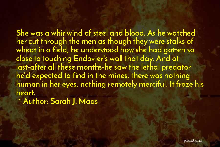 Sarah J. Maas Quotes: She Was A Whirlwind Of Steel And Blood. As He Watched Her Cut Through The Men As Though They Were