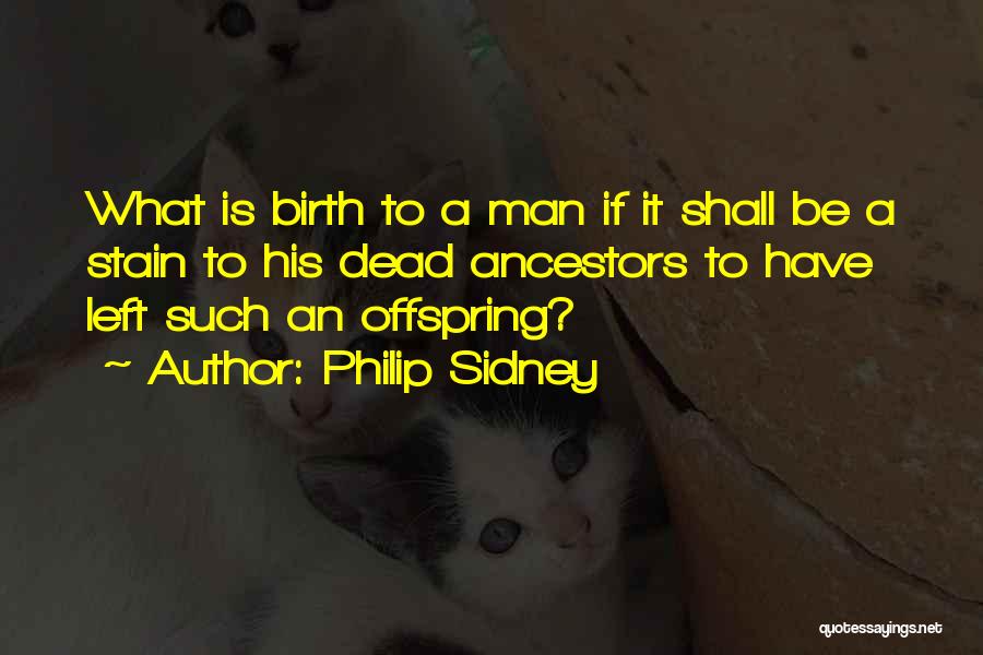 Philip Sidney Quotes: What Is Birth To A Man If It Shall Be A Stain To His Dead Ancestors To Have Left Such
