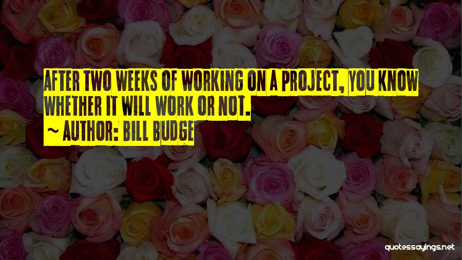 Bill Budge Quotes: After Two Weeks Of Working On A Project, You Know Whether It Will Work Or Not.