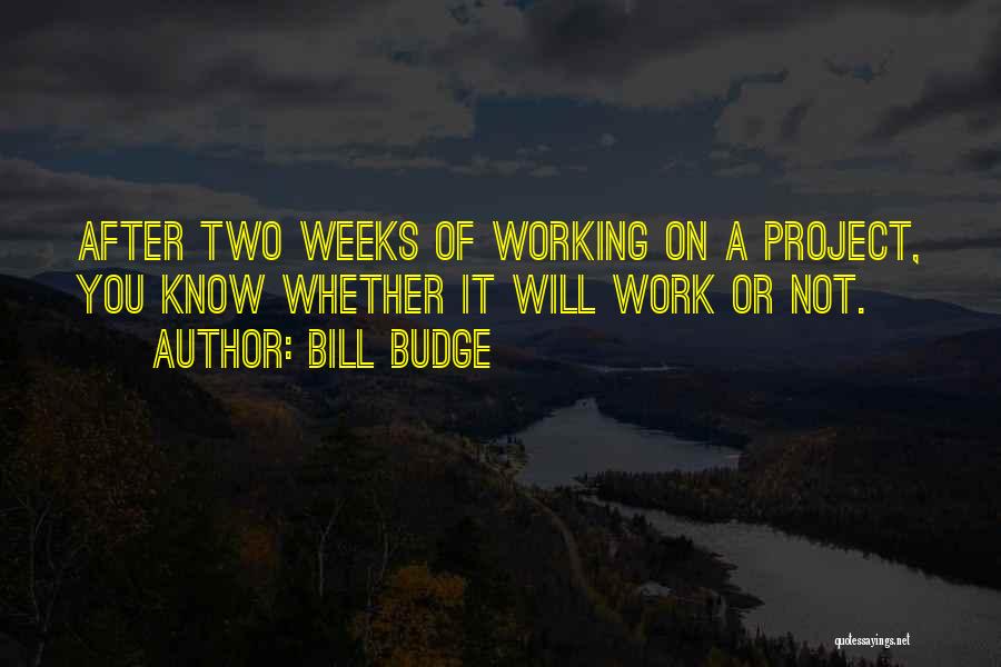 Bill Budge Quotes: After Two Weeks Of Working On A Project, You Know Whether It Will Work Or Not.