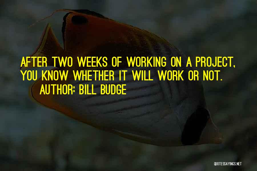 Bill Budge Quotes: After Two Weeks Of Working On A Project, You Know Whether It Will Work Or Not.