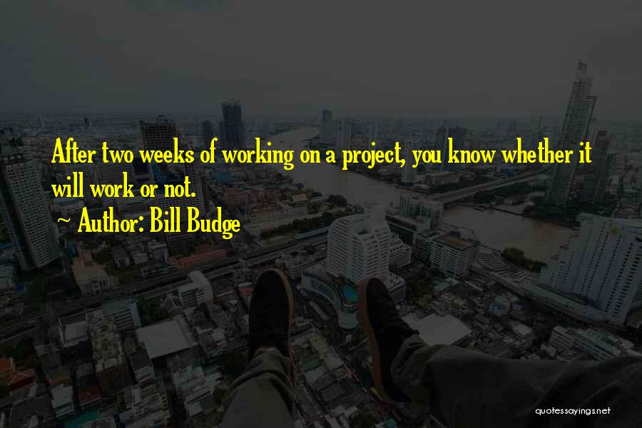 Bill Budge Quotes: After Two Weeks Of Working On A Project, You Know Whether It Will Work Or Not.