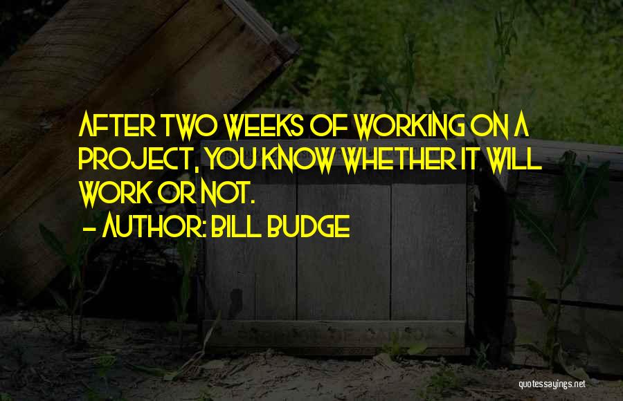 Bill Budge Quotes: After Two Weeks Of Working On A Project, You Know Whether It Will Work Or Not.