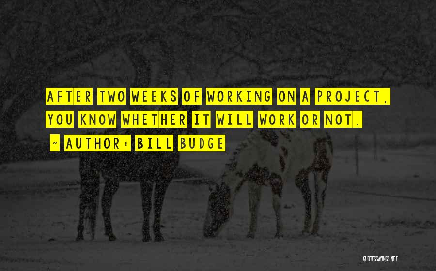 Bill Budge Quotes: After Two Weeks Of Working On A Project, You Know Whether It Will Work Or Not.