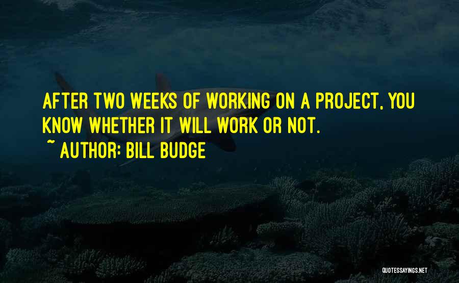 Bill Budge Quotes: After Two Weeks Of Working On A Project, You Know Whether It Will Work Or Not.