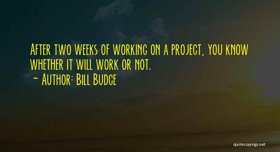 Bill Budge Quotes: After Two Weeks Of Working On A Project, You Know Whether It Will Work Or Not.