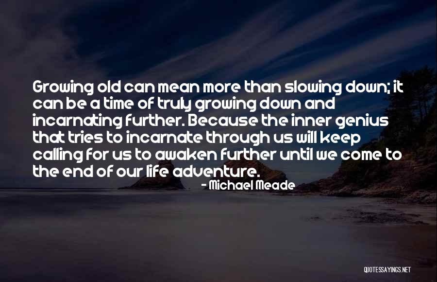 14ikb Quotes By Michael Meade 14ikb Quotes By Michael Meade