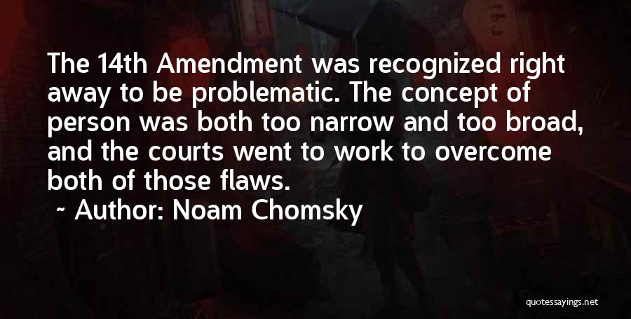 14th Amendment Quotes By Noam Chomsky