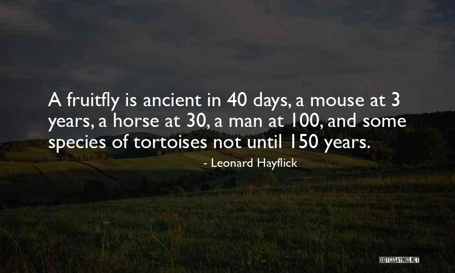 150 Years Quotes By Leonard Hayflick 150 Years Quotes By Leonard Hayflick