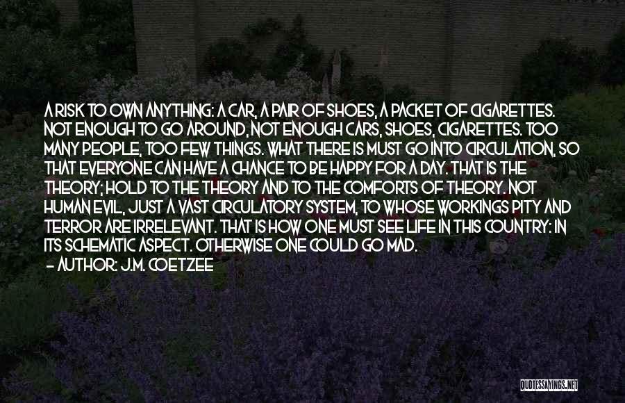 J.M. Coetzee Quotes: A Risk To Own Anything: A Car, A Pair Of Shoes, A Packet Of Cigarettes. Not Enough To Go Around,