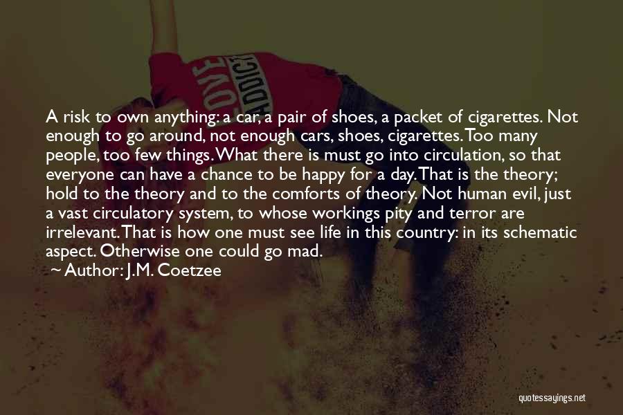 J.M. Coetzee Quotes: A Risk To Own Anything: A Car, A Pair Of Shoes, A Packet Of Cigarettes. Not Enough To Go Around,