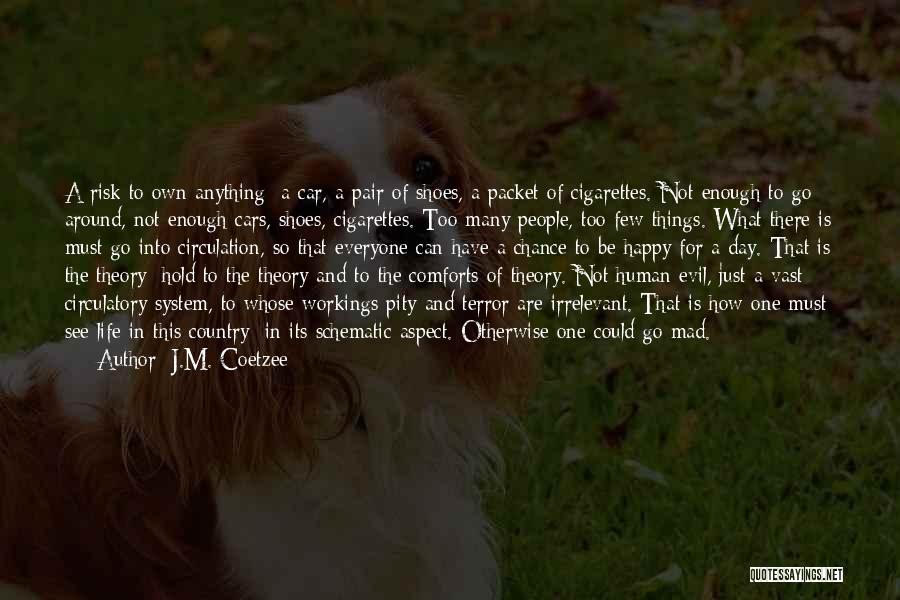 J.M. Coetzee Quotes: A Risk To Own Anything: A Car, A Pair Of Shoes, A Packet Of Cigarettes. Not Enough To Go Around,