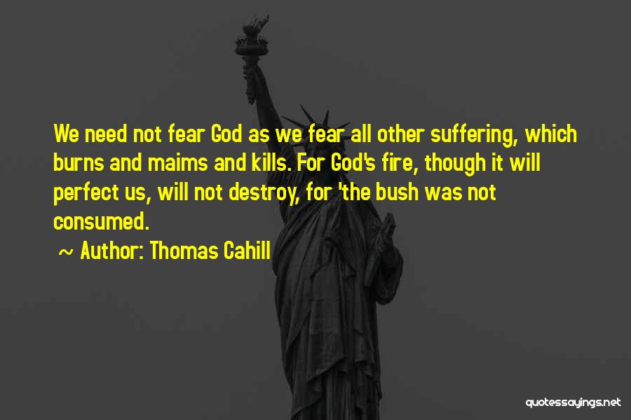 Thomas Cahill Quotes: We Need Not Fear God As We Fear All Other Suffering, Which Burns And Maims And Kills. For God's Fire,