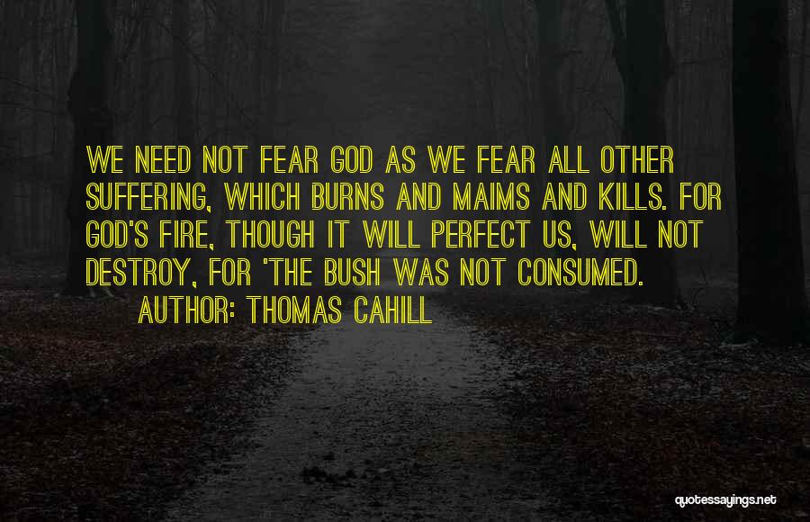 Thomas Cahill Quotes: We Need Not Fear God As We Fear All Other Suffering, Which Burns And Maims And Kills. For God's Fire,