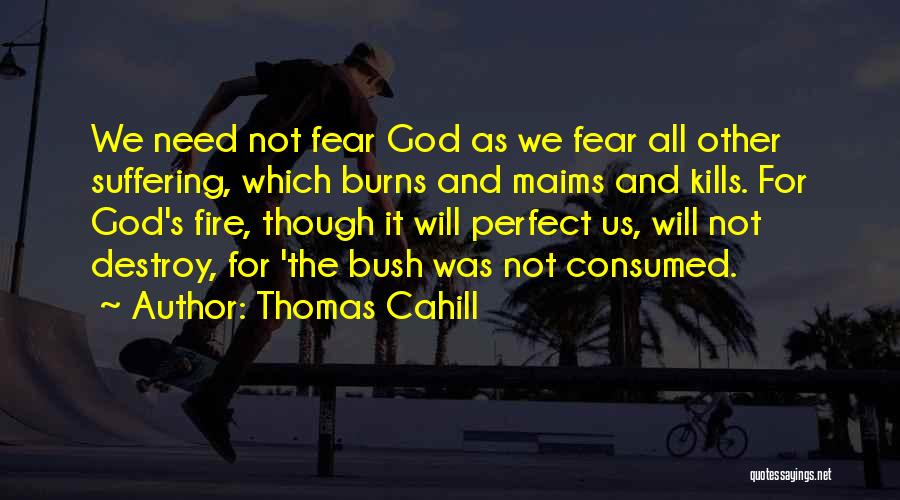 Thomas Cahill Quotes: We Need Not Fear God As We Fear All Other Suffering, Which Burns And Maims And Kills. For God's Fire,