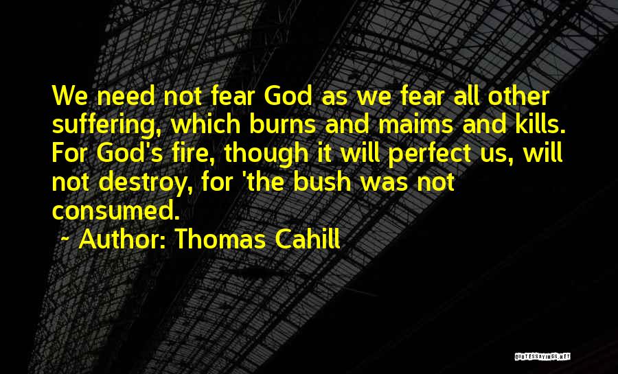 Thomas Cahill Quotes: We Need Not Fear God As We Fear All Other Suffering, Which Burns And Maims And Kills. For God's Fire,