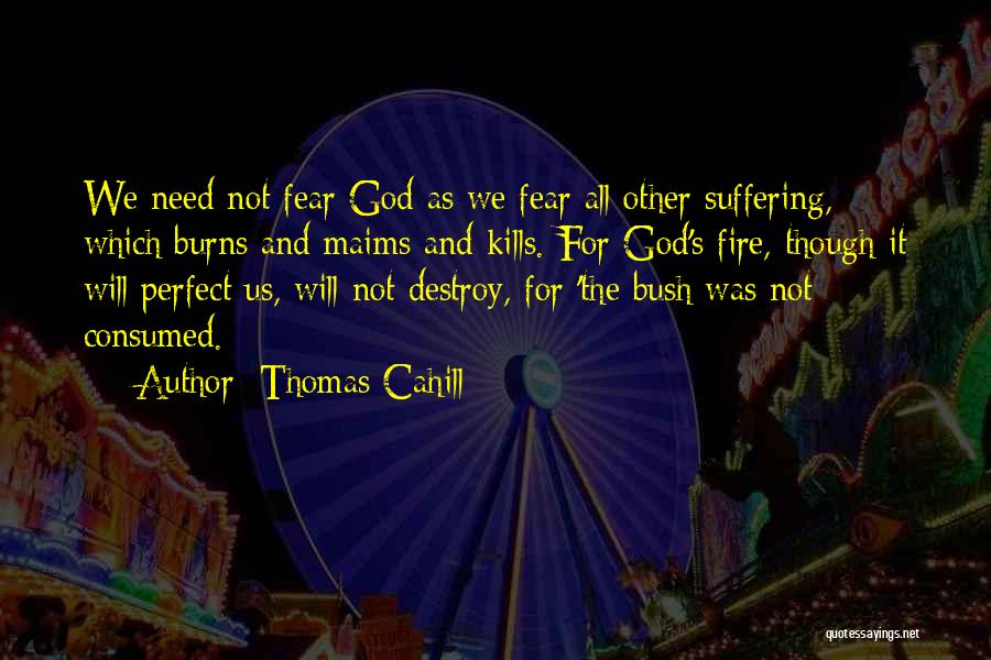 Thomas Cahill Quotes: We Need Not Fear God As We Fear All Other Suffering, Which Burns And Maims And Kills. For God's Fire,