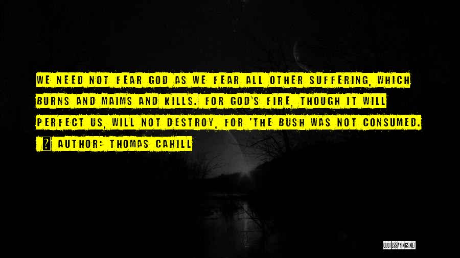 Thomas Cahill Quotes: We Need Not Fear God As We Fear All Other Suffering, Which Burns And Maims And Kills. For God's Fire,