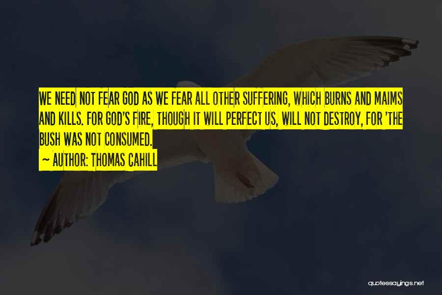 Thomas Cahill Quotes: We Need Not Fear God As We Fear All Other Suffering, Which Burns And Maims And Kills. For God's Fire,