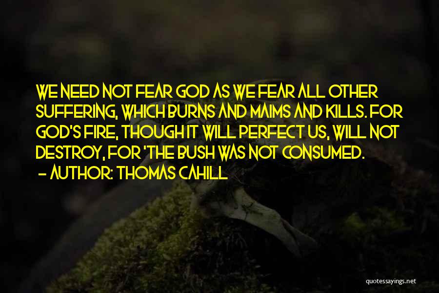 Thomas Cahill Quotes: We Need Not Fear God As We Fear All Other Suffering, Which Burns And Maims And Kills. For God's Fire,