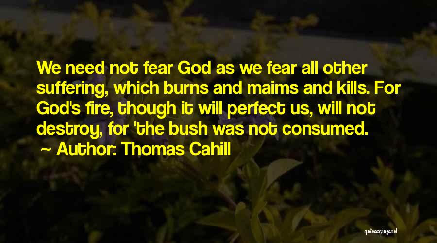 Thomas Cahill Quotes: We Need Not Fear God As We Fear All Other Suffering, Which Burns And Maims And Kills. For God's Fire,