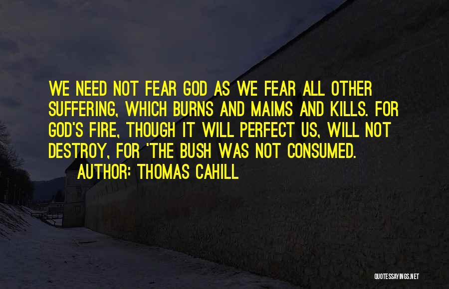 Thomas Cahill Quotes: We Need Not Fear God As We Fear All Other Suffering, Which Burns And Maims And Kills. For God's Fire,