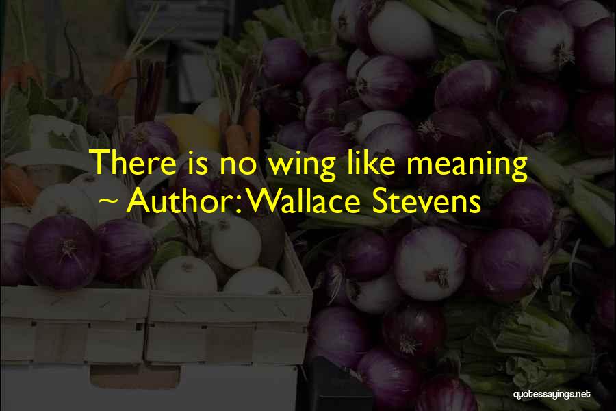Wallace Stevens Quotes: There Is No Wing Like Meaning