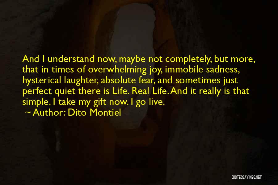 Dito Montiel Quotes: And I Understand Now, Maybe Not Completely, But More, That In Times Of Overwhelming Joy, Immobile Sadness, Hysterical Laughter, Absolute