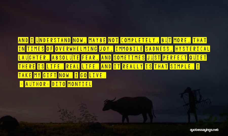 Dito Montiel Quotes: And I Understand Now, Maybe Not Completely, But More, That In Times Of Overwhelming Joy, Immobile Sadness, Hysterical Laughter, Absolute