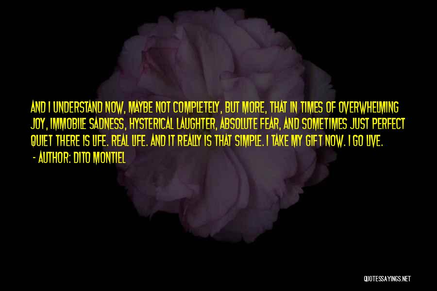 Dito Montiel Quotes: And I Understand Now, Maybe Not Completely, But More, That In Times Of Overwhelming Joy, Immobile Sadness, Hysterical Laughter, Absolute