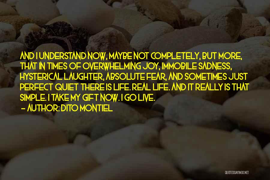 Dito Montiel Quotes: And I Understand Now, Maybe Not Completely, But More, That In Times Of Overwhelming Joy, Immobile Sadness, Hysterical Laughter, Absolute