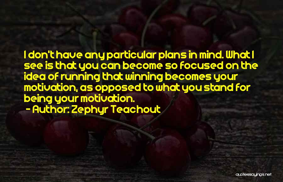 Zephyr Teachout Quotes: I Don't Have Any Particular Plans In Mind. What I See Is That You Can Become So Focused On The