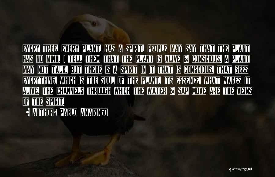 Pablo Amaringo Quotes: Every Tree, Every Plant, Has A Spirit. People May Say That The Plant Has No Mind. I Tell Them That
