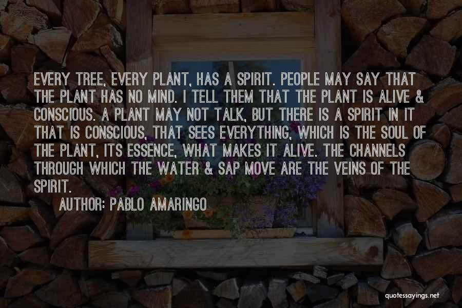 Pablo Amaringo Quotes: Every Tree, Every Plant, Has A Spirit. People May Say That The Plant Has No Mind. I Tell Them That