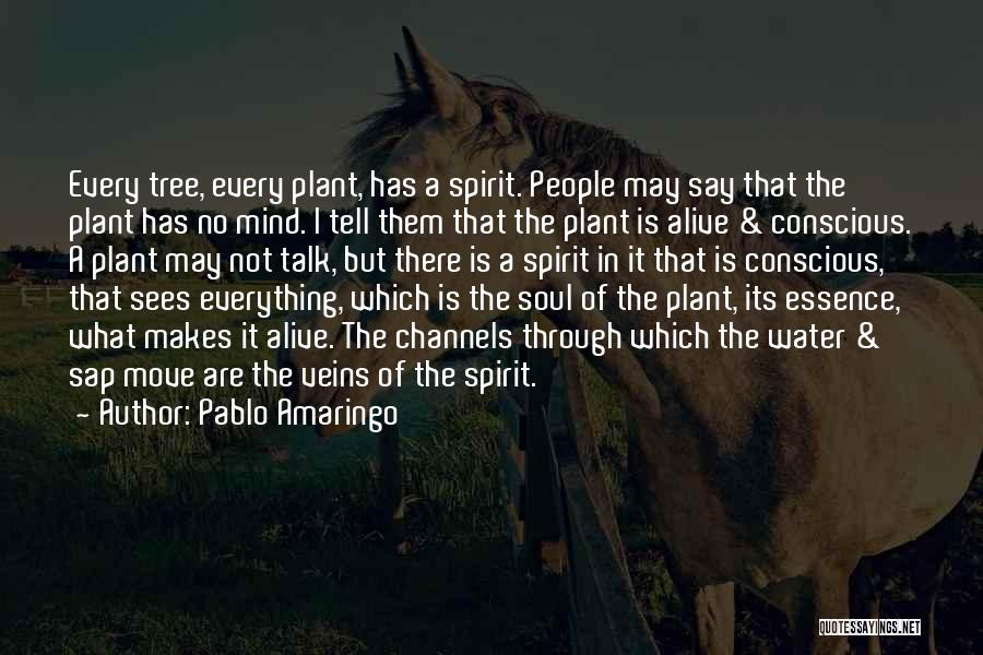 Pablo Amaringo Quotes: Every Tree, Every Plant, Has A Spirit. People May Say That The Plant Has No Mind. I Tell Them That