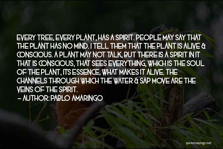 Pablo Amaringo Quotes: Every Tree, Every Plant, Has A Spirit. People May Say That The Plant Has No Mind. I Tell Them That