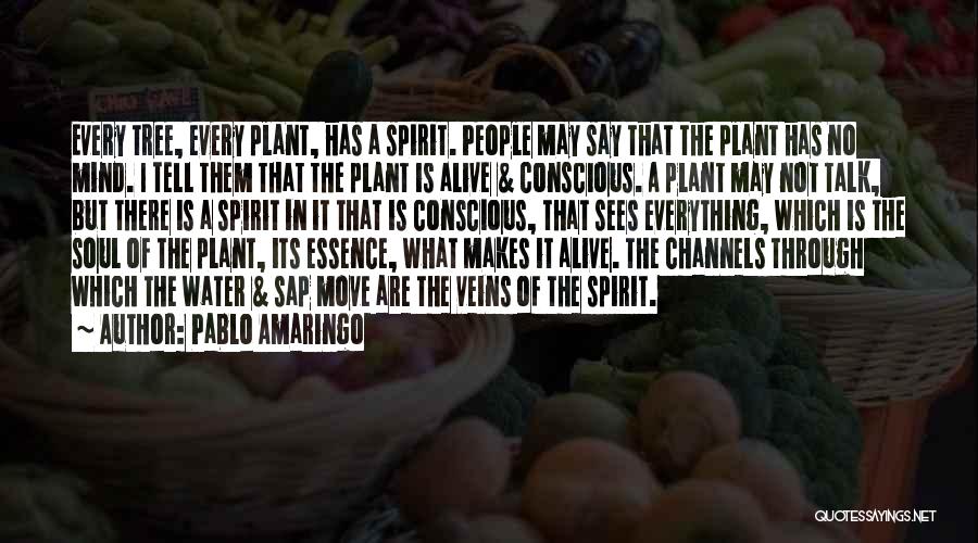 Pablo Amaringo Quotes: Every Tree, Every Plant, Has A Spirit. People May Say That The Plant Has No Mind. I Tell Them That