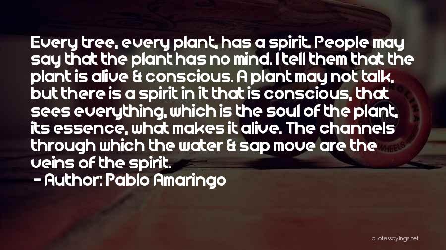 Pablo Amaringo Quotes: Every Tree, Every Plant, Has A Spirit. People May Say That The Plant Has No Mind. I Tell Them That