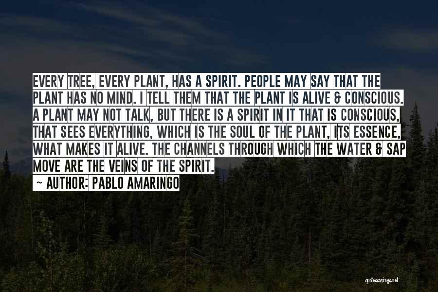 Pablo Amaringo Quotes: Every Tree, Every Plant, Has A Spirit. People May Say That The Plant Has No Mind. I Tell Them That