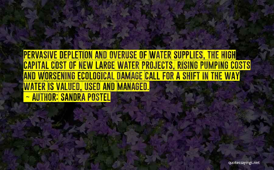 Sandra Postel Quotes: Pervasive Depletion And Overuse Of Water Supplies, The High Capital Cost Of New Large Water Projects, Rising Pumping Costs And