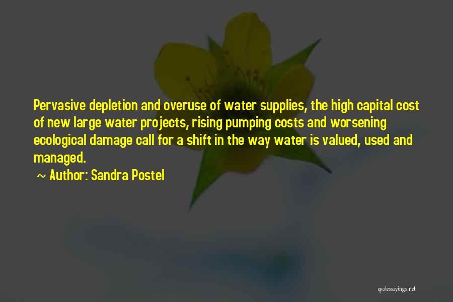 Sandra Postel Quotes: Pervasive Depletion And Overuse Of Water Supplies, The High Capital Cost Of New Large Water Projects, Rising Pumping Costs And