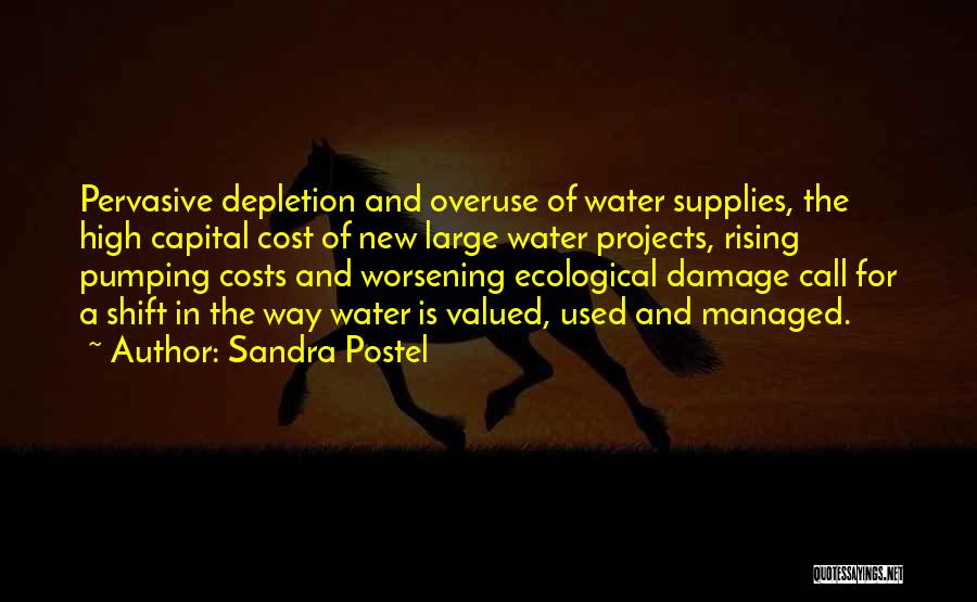 Sandra Postel Quotes: Pervasive Depletion And Overuse Of Water Supplies, The High Capital Cost Of New Large Water Projects, Rising Pumping Costs And