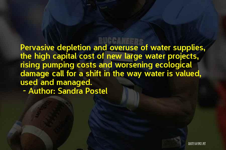 Sandra Postel Quotes: Pervasive Depletion And Overuse Of Water Supplies, The High Capital Cost Of New Large Water Projects, Rising Pumping Costs And