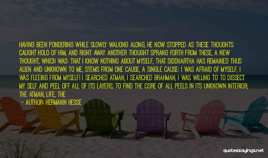 Hermann Hesse Quotes: Having Been Pondering While Slowly Walking Along, He Now Stopped As These Thoughts Caught Hold Of Him, And Right Away