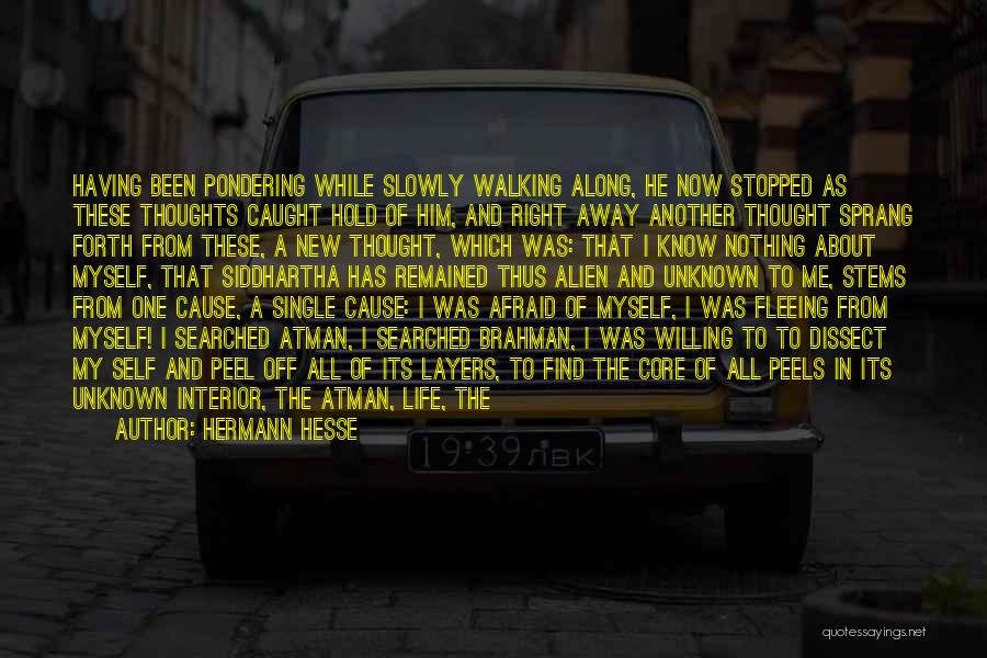 Hermann Hesse Quotes: Having Been Pondering While Slowly Walking Along, He Now Stopped As These Thoughts Caught Hold Of Him, And Right Away