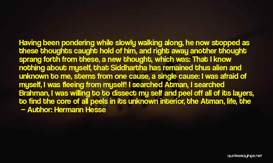 Hermann Hesse Quotes: Having Been Pondering While Slowly Walking Along, He Now Stopped As These Thoughts Caught Hold Of Him, And Right Away