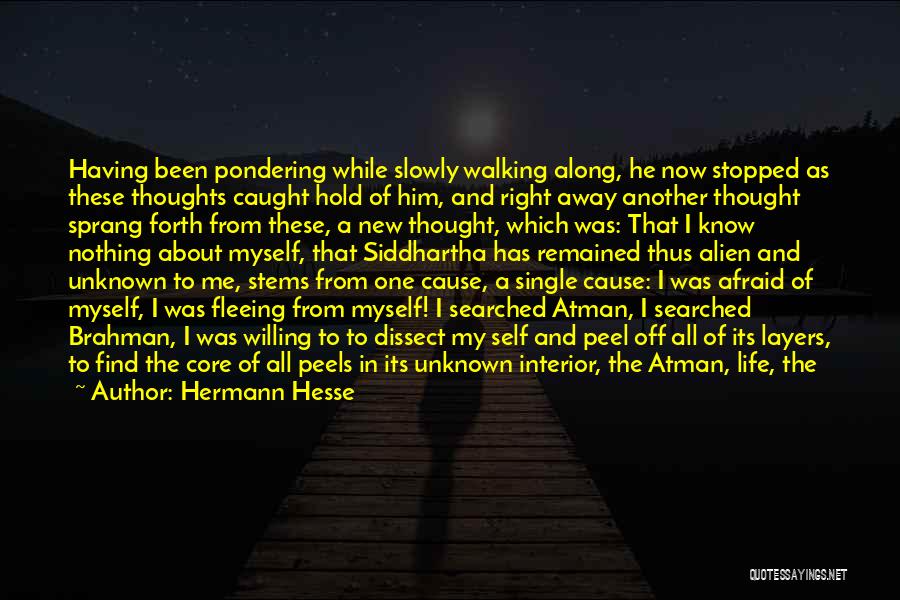 Hermann Hesse Quotes: Having Been Pondering While Slowly Walking Along, He Now Stopped As These Thoughts Caught Hold Of Him, And Right Away