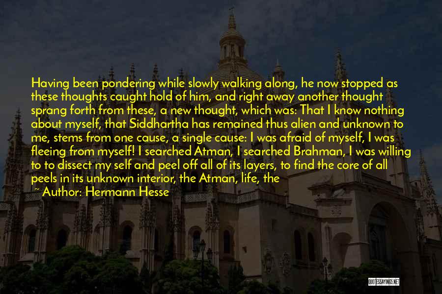 Hermann Hesse Quotes: Having Been Pondering While Slowly Walking Along, He Now Stopped As These Thoughts Caught Hold Of Him, And Right Away