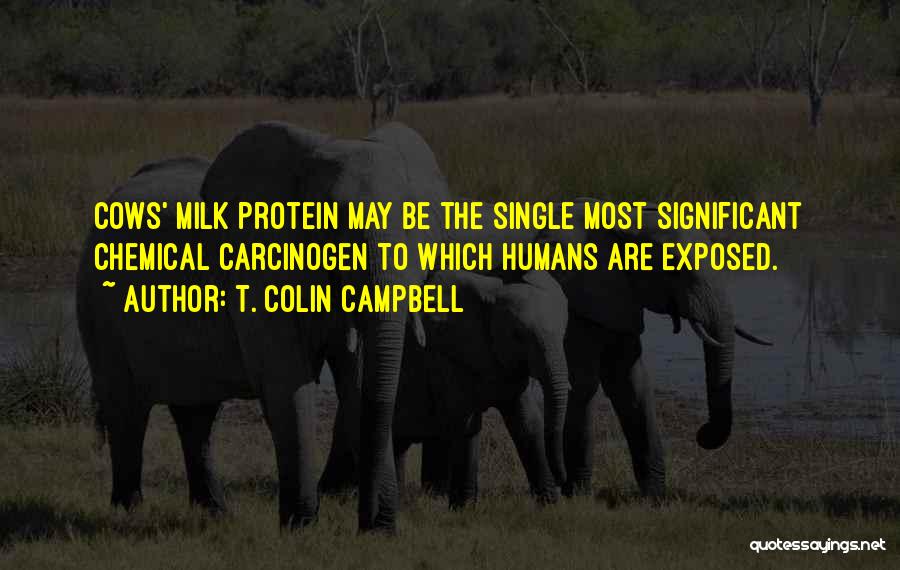 T. Colin Campbell Quotes: Cows' Milk Protein May Be The Single Most Significant Chemical Carcinogen To Which Humans Are Exposed.