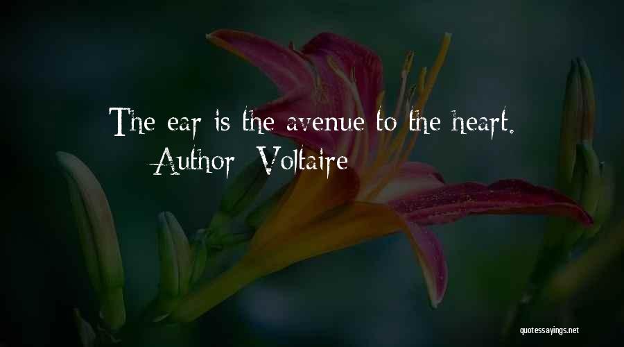 Voltaire Quotes: The Ear Is The Avenue To The Heart.